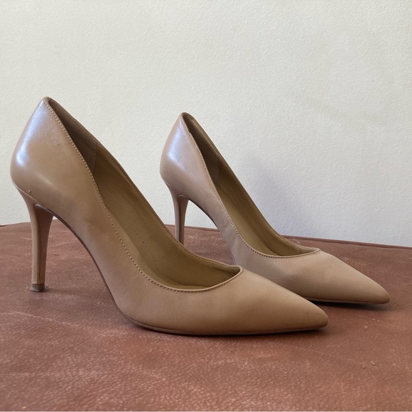 Ann Taylor | Mae Nude Leather Pointed Toe Stiletto Pumps - Picture 1 of 8